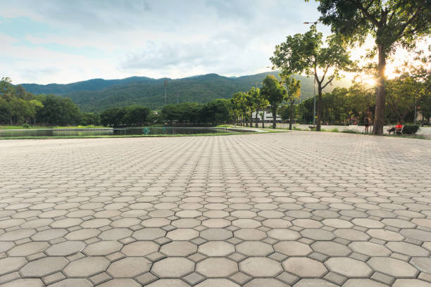 Best Driveway Pavers Near Me  in Carlin, NV