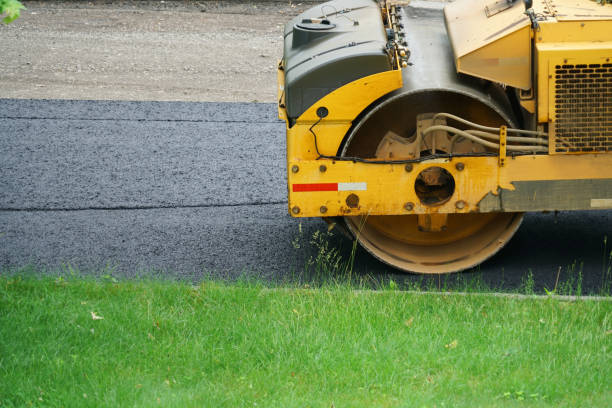 Best Driveway Pavers for Homes  in Carlin, NV