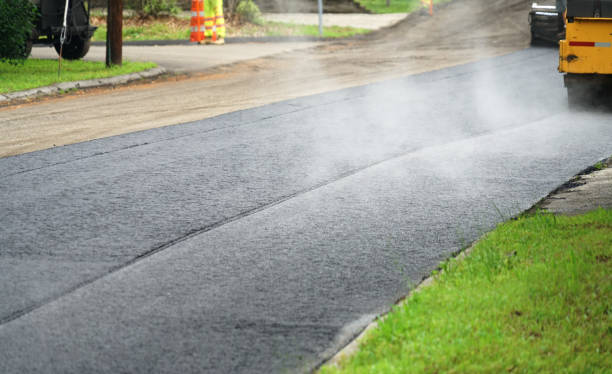 Best Local Driveway Pavers  in Carlin, NV