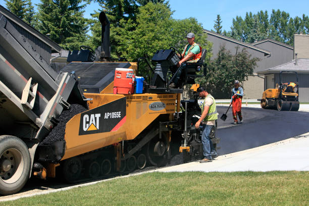 Best Best Driveway Pavers  in Carlin, NV